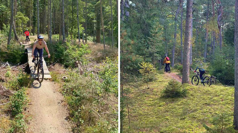 Oplev både fællesskab og motion med mountainbiketure for kvinder hos WoWsurf